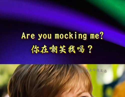 用英语怎么说傻子就是你呢