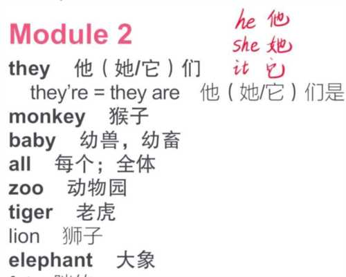 fat的英语怎么读语音