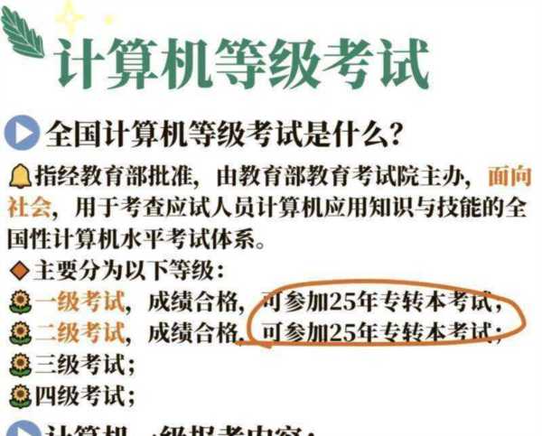 计算机水平分为几个等级该怎么填