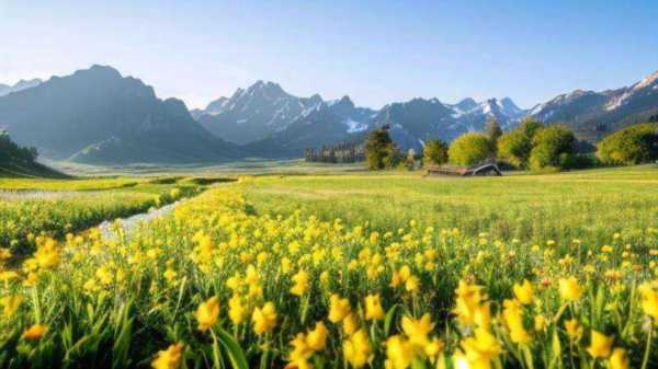 自然风景图片大全大图