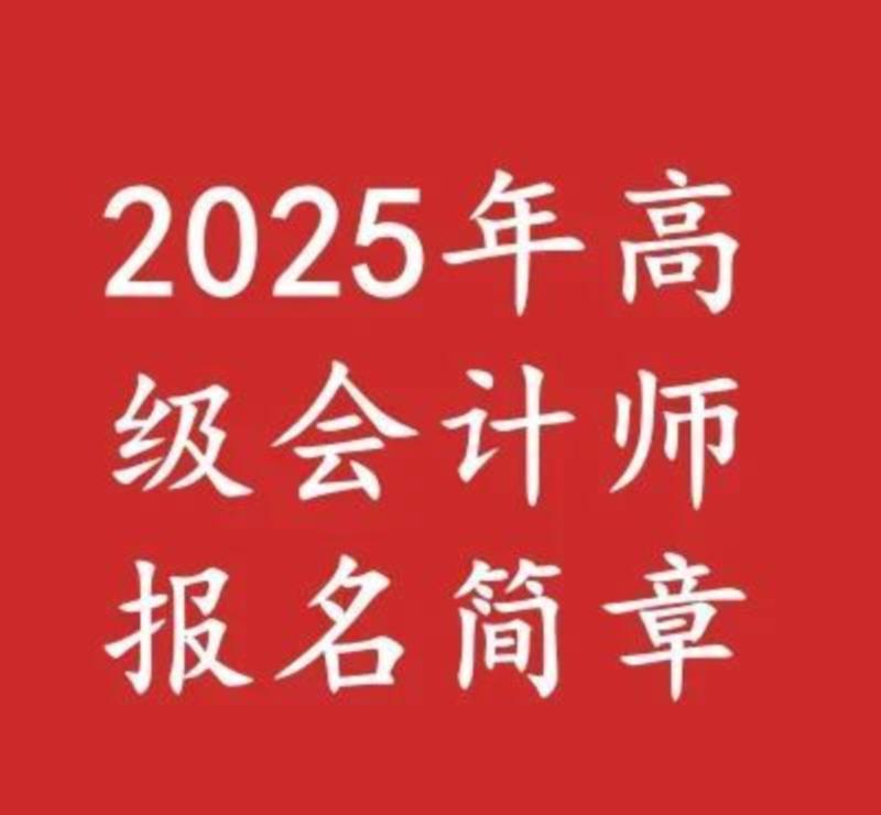 2024年高级会计师考试报名