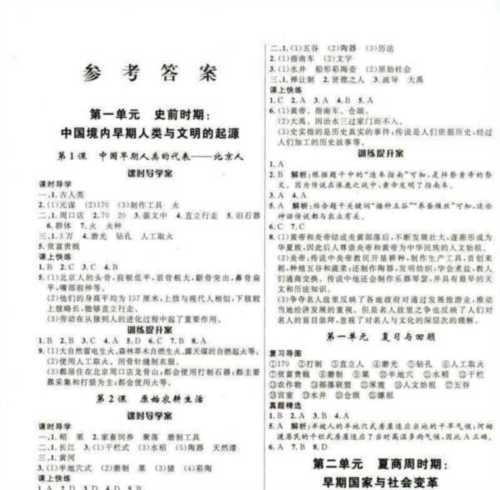 初一历史学法大视野答案2024年
