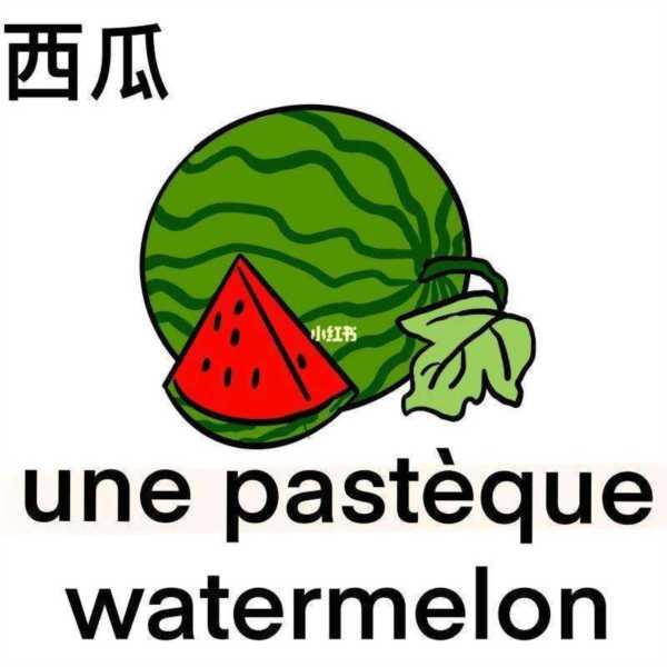 西瓜的英文西瓜的英文怎么读