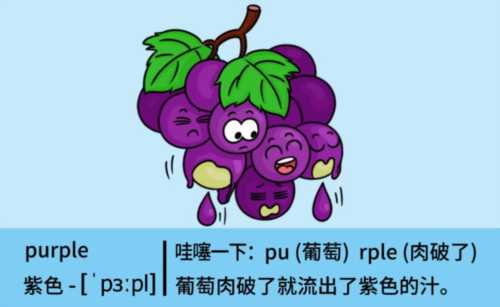 紫色英语单词怎么说怎么写