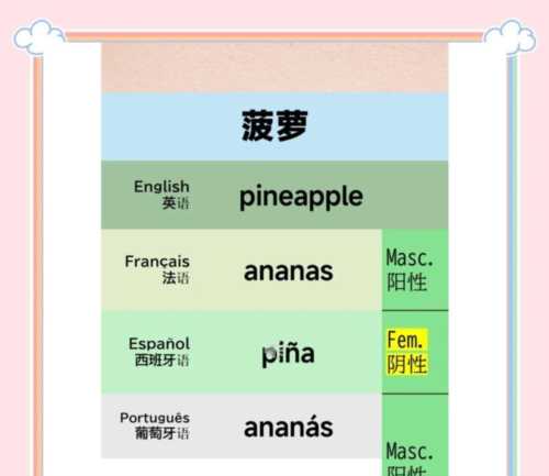 菠萝的英语单词怎么读怎么写