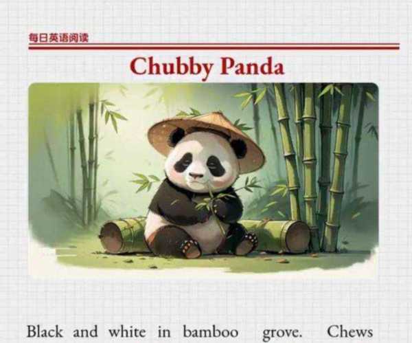 胖胖的的英文单词怎么写