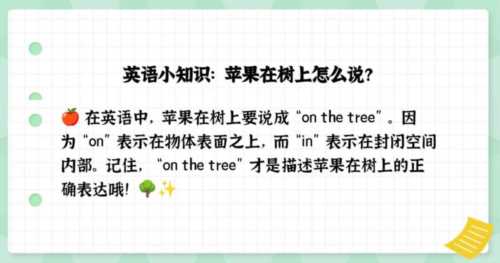 苹果的英文应该怎么说呢