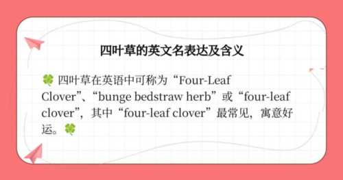 叶子的英文怎么说怎么读啊