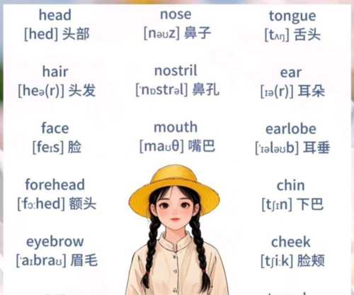 脸翻译成英文怎么说呢怎么写