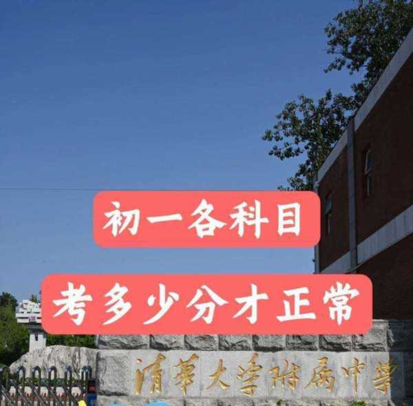 初一文科是哪几科科目