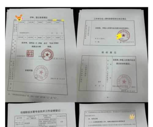 高级会计师评审条件和材料