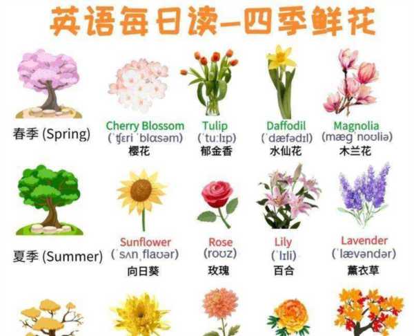 那些是四朵小花用英语怎么翻译出来