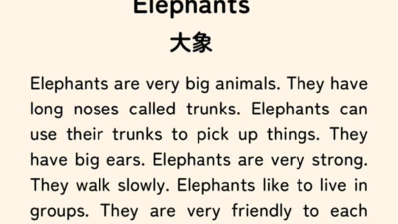 象的英文怎么说怎么读