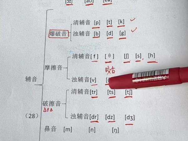 warm的音标是什么