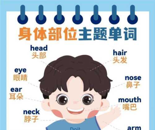 包含小男孩的英语单词是什么的词条