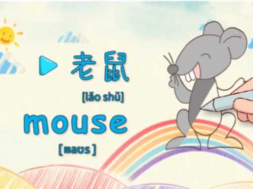 老鼠用英语该怎么说?