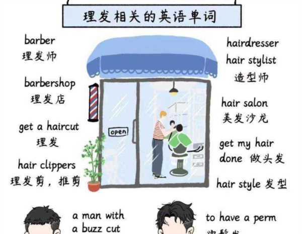 发型 用英语怎么说