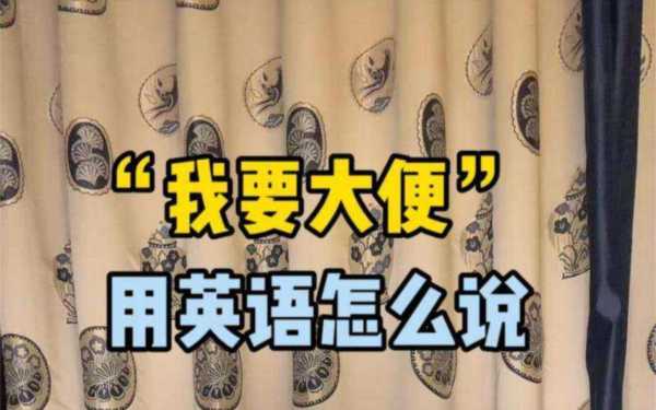 我吃了一坨屎用英语怎么说