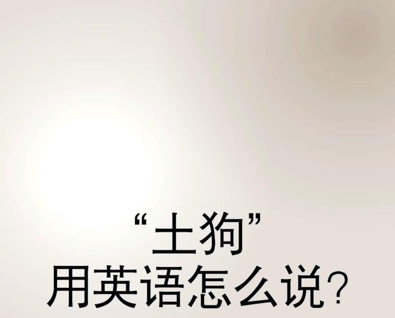 狗的英语单词怎么写怎么读