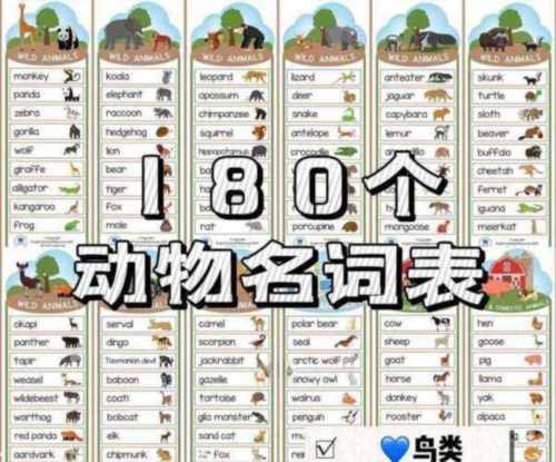 它们的英语单词怎么写?