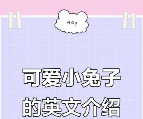 兔子用英文怎么写复数句子三年级下册