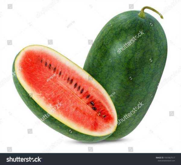 watermelon怎么读英语语音