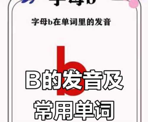 shan用英语怎么读