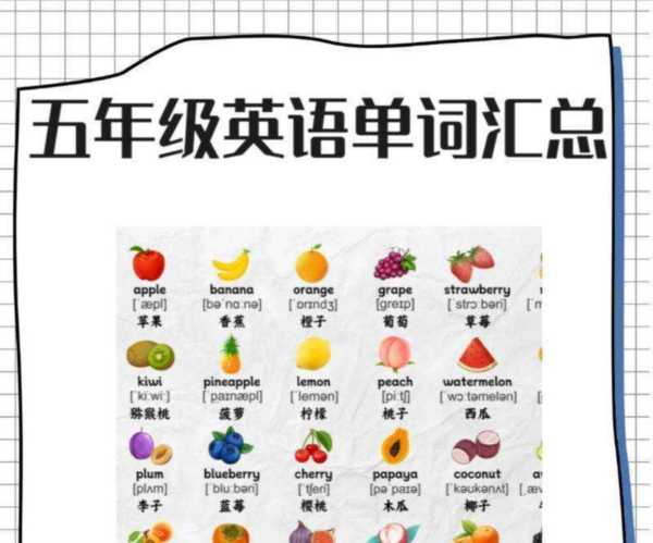 五上英语单词表陕旅版