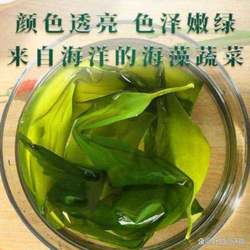 海带英文是什么