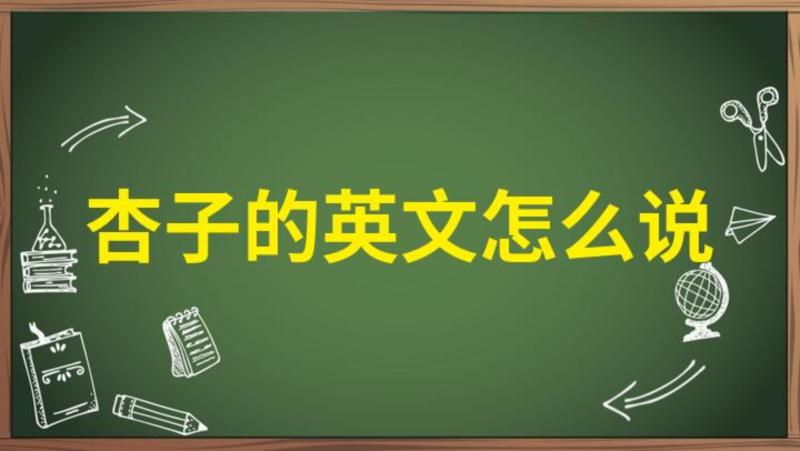 nut的英文单词怎么读