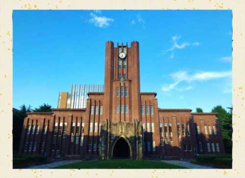 东京外国语大学相当于