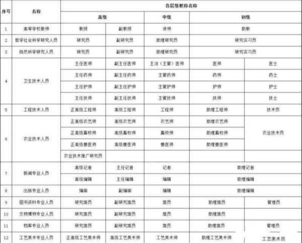 工程师属于什么专业类别