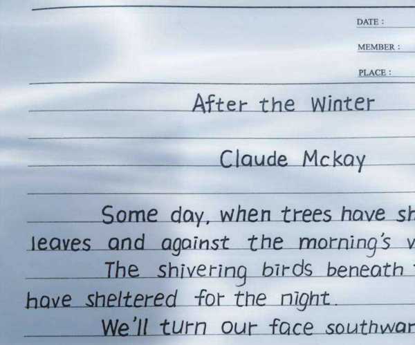 散文的英语单词怎么写好看又简单