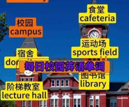 图书馆和操场的英语单词怎么写