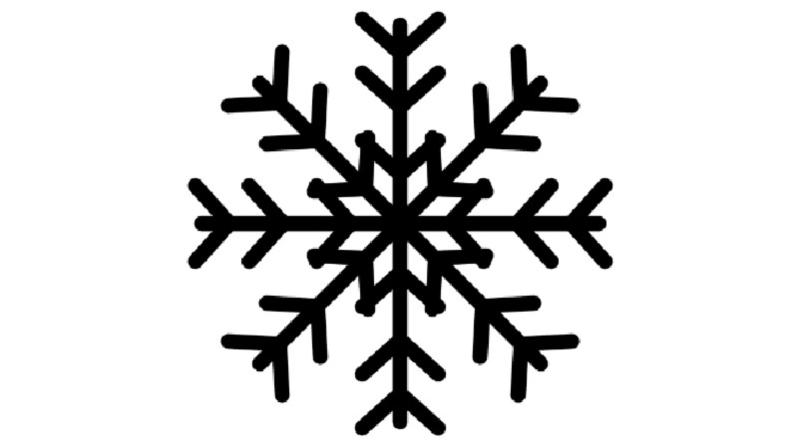 雪花英文单词怎么读