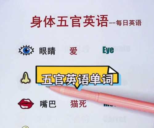 英文单词100个