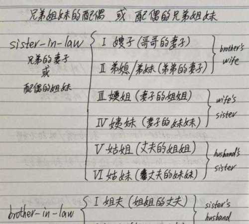 law中文是什么意思啊