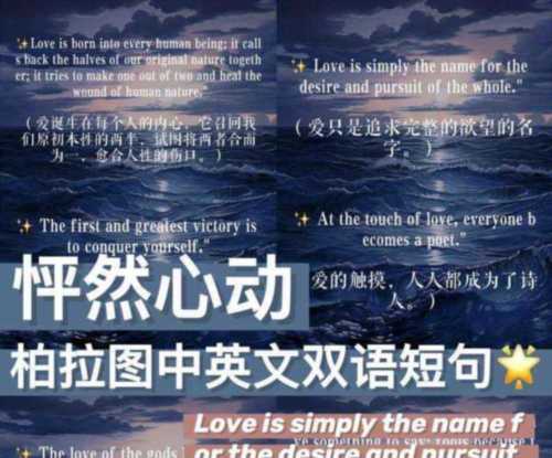 包含用英文怎么说爱情的句子短句带翻译的词条