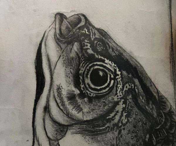 素描英文怎么写