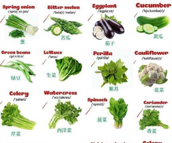 蔬菜的单词怎么写英语怎么写