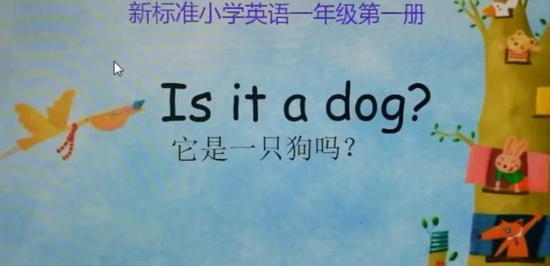 一只狗正在叫用英语怎么说写