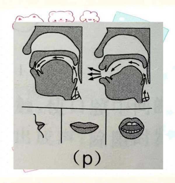 medlite怎么发音