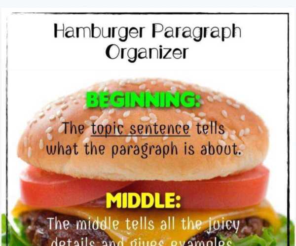 汉堡英语hamburger