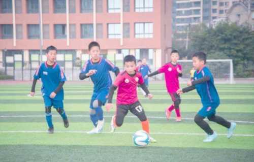 重庆九龙坡区蟠龙小学