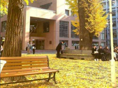 日本高校生是大学生吗