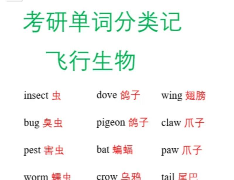 鸽子的英语怎么说怎么写