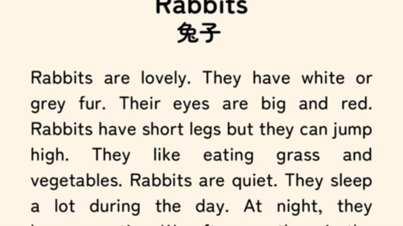 兔子的英文名可以叫什么