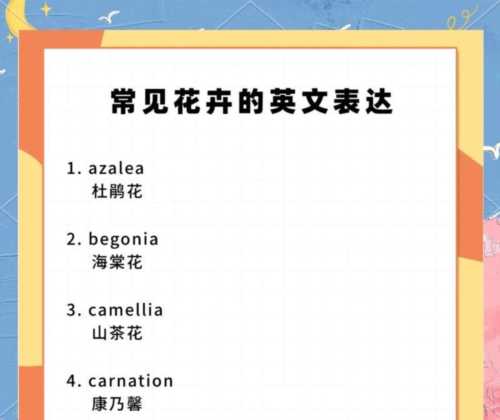 花的英文怎么读怎么写的单词