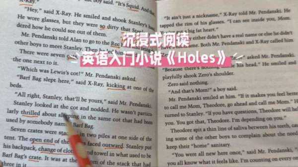 小说是可数还是不可数