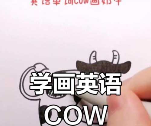 奶牛英文的复数